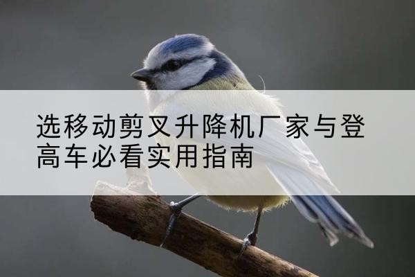 东川电动升降机厂家-选移动剪叉升降机厂家与登高车必看实用指南