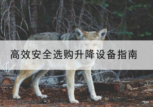 东川升降货梯厂家推荐-*安全选购升降设备指南