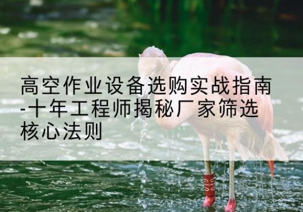 东川剪叉式升降机厂家-高空作业设备选购实战指南-十年工程师揭秘厂家筛选核心法则